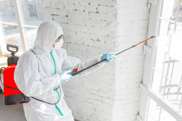 Best Emergency Mold Remediation in Gardnerville Ranchos, NV